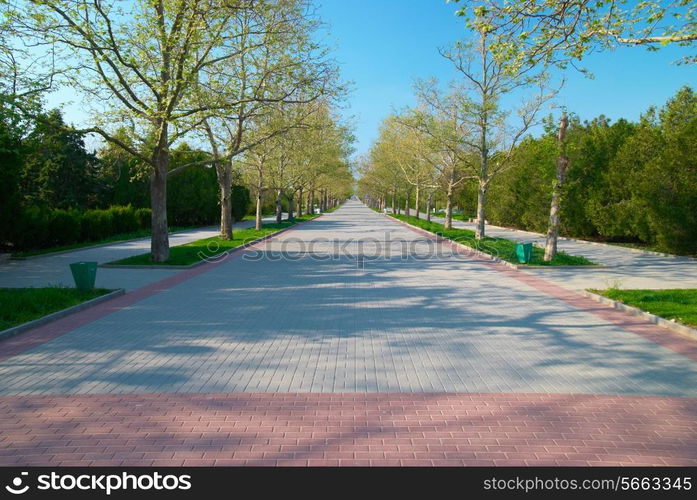 Alley in the green sunny park with grass and trees