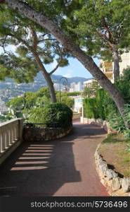 Alley in the park of Monaco