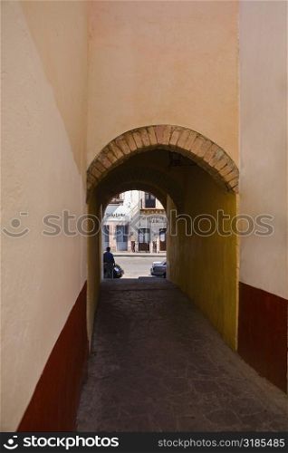 Alley passing through an archway, Alcaiceria De Gomez, Zacatecas State, Mexico