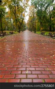 alleyway with paved road to autumn park. The Lvov park
