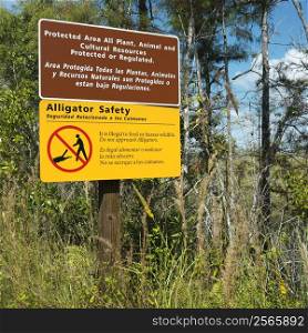 Alligator safety sign in Everglades National Park, Florida, USA.