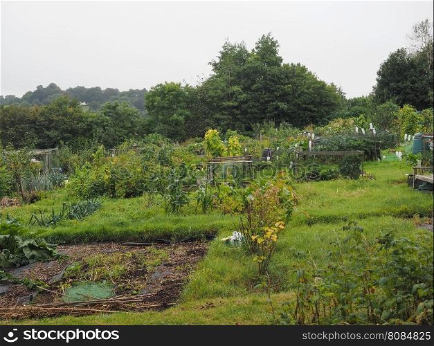 Allotment garden (community garden). Allotment garden (aka community garden) plot of land made available for individual non-commercial gardening or growing food plants