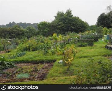 Allotment garden (community garden). Allotment garden (aka community garden) plot of land made available for individual non-commercial gardening or growing food plants