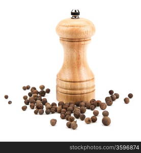 allspice, and a mill for grinding on a white background