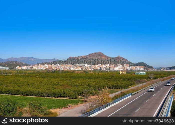 Almenara skyline in Castellon of Spain orange fields