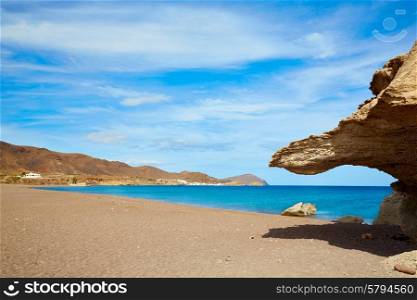 Almeria in Cabo de Gata Playa del Arco arch beach at Spain