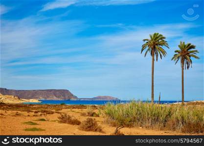 Almeria in Cabo de Gata Playazo Rodalquilar beach at Mediterranean Spain