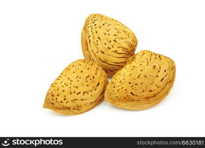 Almond isolated on a white background