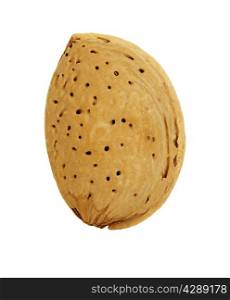 Almond nut in shell isolated on a white background.