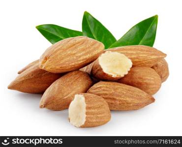 Almond nuts with three green leaves isolated on white background. Almond nuts with three green leaves