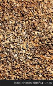 Almond shells texture in Teruel Albarracin of Spain
