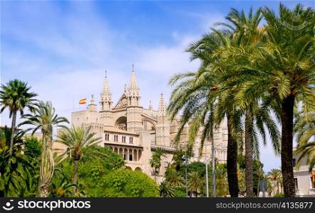 Almudaina and Cathedral of Palma de Mallorca in Majorca Balearic island