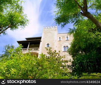 Almudaina palace in Palma de Mallorca from Majorca island from Spain