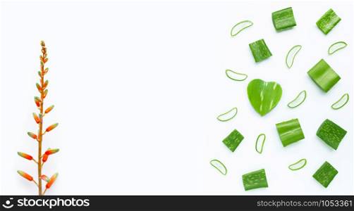 Aloe Vera cut pieces, slices with flower on white background. Copy space