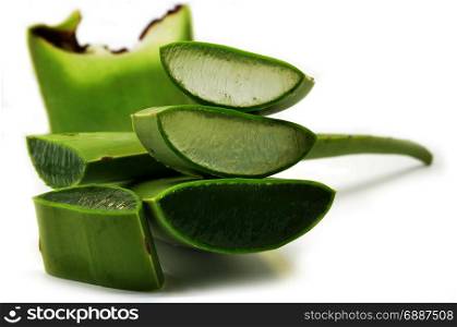 Aloe vera fresh leaf isolated over white