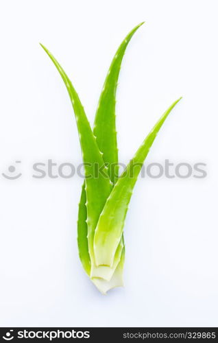 Aloe vera fresh leaves on white background.