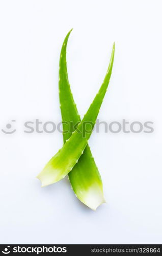 Aloe vera fresh leaves on white background. Copy space