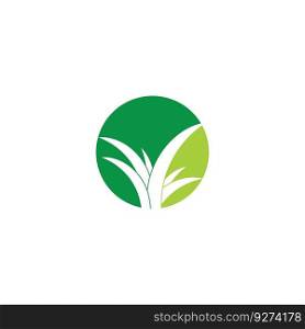 aloe vera green leaf logo icon vector illustration template design
