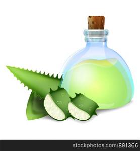 Aloe vera icon. Cartoon of aloe vera vector icon for web design isolated on white background. Aloe vera icon, cartoon style