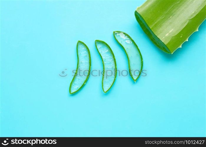 Aloe vera is a popular medicinal plant for health and beauty, blue background. Copy space