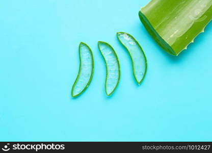 Aloe vera is a popular medicinal plant for health and beauty, blue background. Copy space