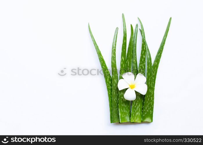 Aloe vera is a popular medicinal plant for health and beauty, on a white background.