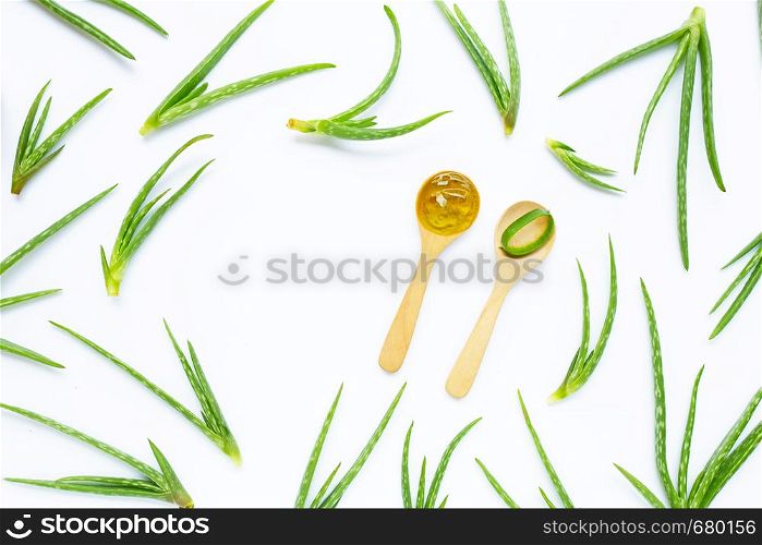 Aloe vera is a popular medicinal plant for health and beauty, on a white background. Copy space