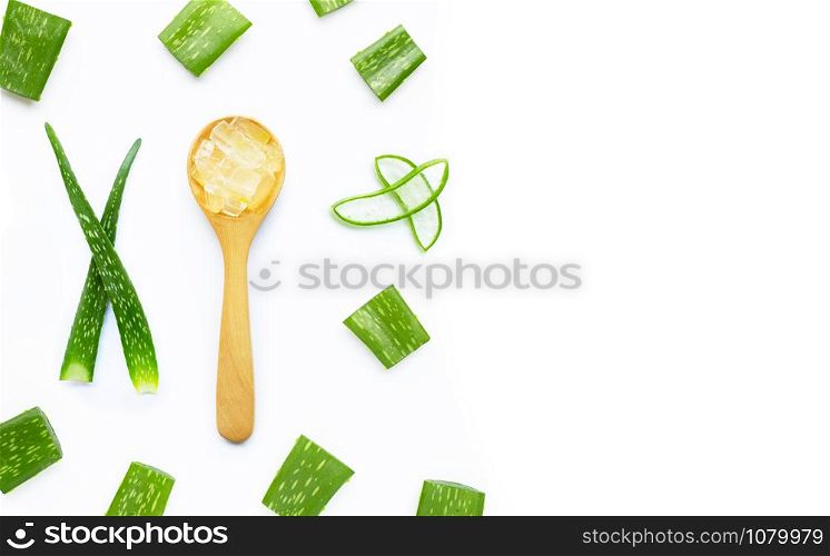 Aloe vera is a popular medicinal plant for health and beauty, on white background. Copy space
