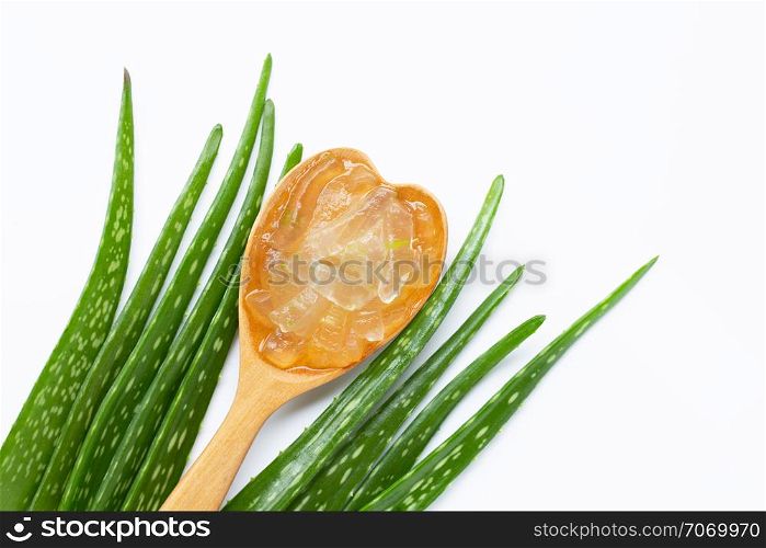 Aloe vera is a popular medicinal plant for health and beauty, on white background.