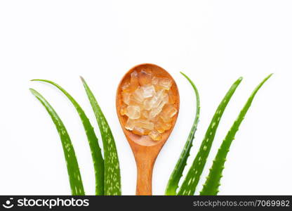 Aloe vera is a popular medicinal plant for health and beauty, on white background.