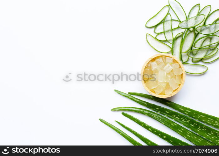 Aloe vera is a popular medicinal plant for health and beauty, on white background.