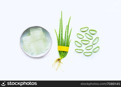 Aloe vera is a popular medicinal plant for health and beauty, on white background.