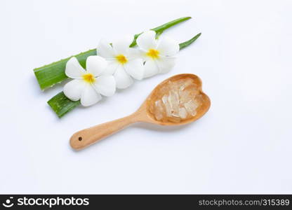 Aloe vera is a popular medicinal plant for health and beauty, with Plumeria flower on white background.