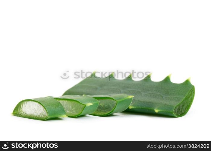 aloe vera leaf and slices isolated on white background