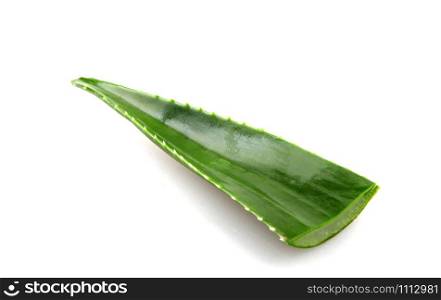 Aloe Vera Leaf On White Background