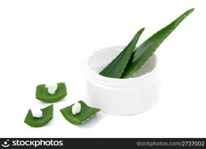 aloe vera leaves and cream isolated on white background