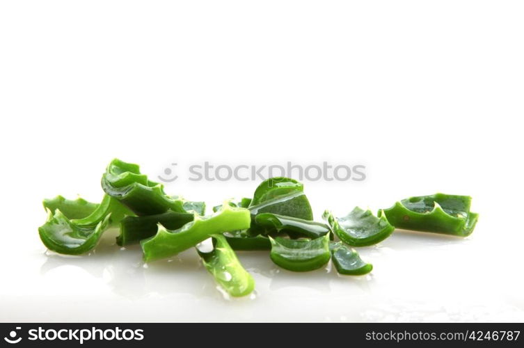 aloe vera leaves on white background