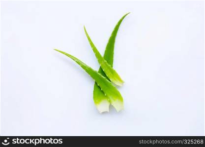 Aloe vera on white