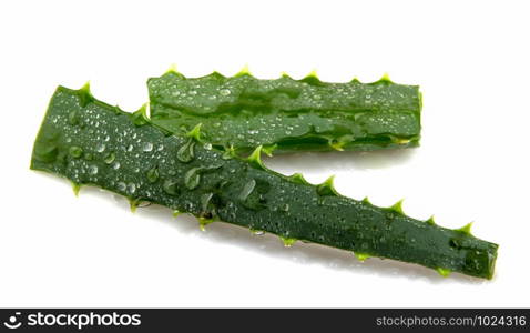 Aloe Vera On White Background.