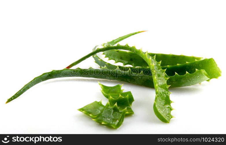 Aloe Vera On White Background.