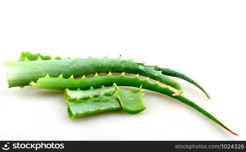 Aloe Vera On White Background.