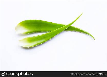 Aloe vera on white background.