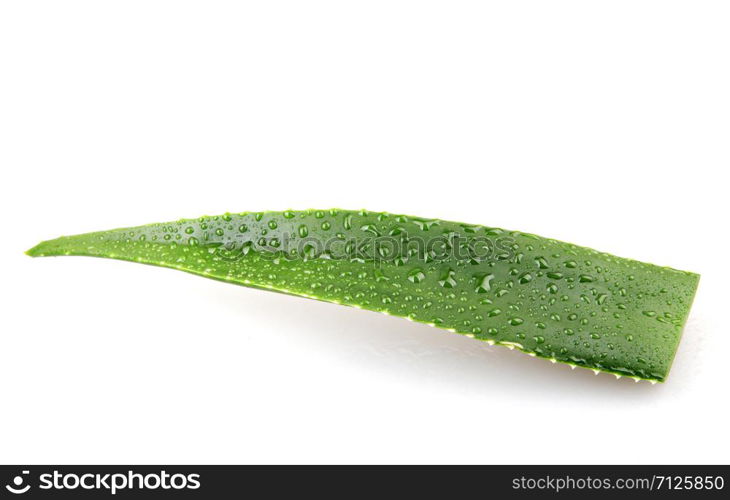 Aloe Vera On White Background