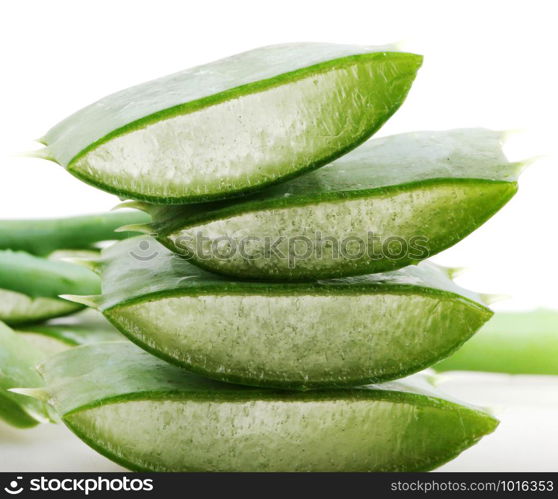 Aloe vera plant