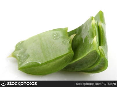 Aloe Vera Plant Isolated On White