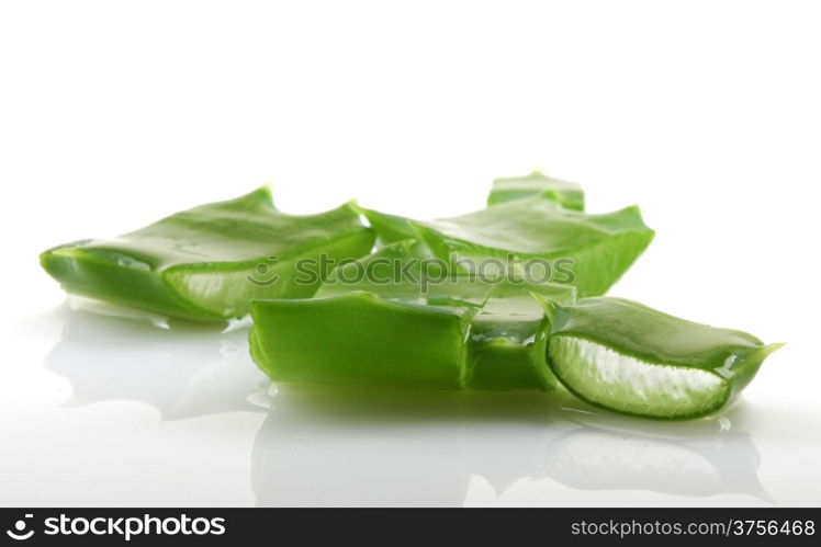 Aloe vera plant isolated on white.