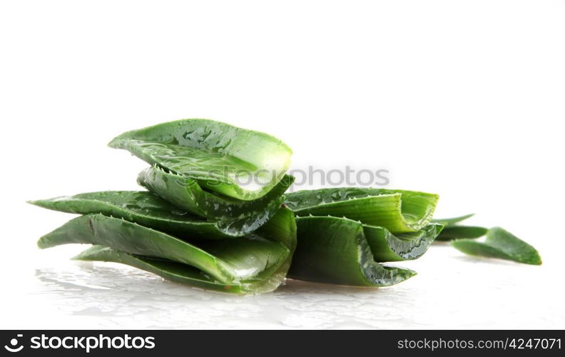 Aloe vera plant isolated on white.