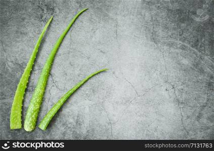 aloe vera plant on gray background / fresh aloe vera leaf with gel natural herbs and herbal medicines , top view