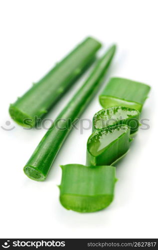 Aloe vera plant pieces