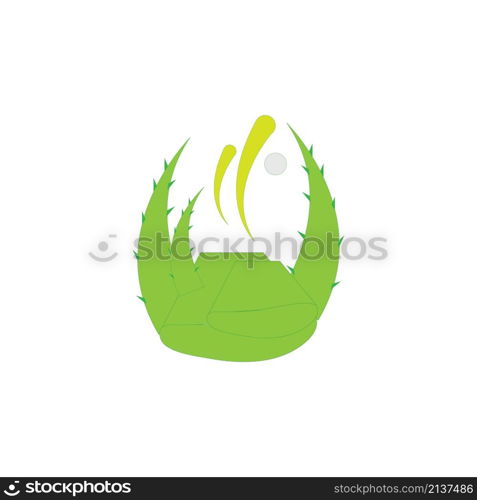 aloevera design illustration icon logo templat